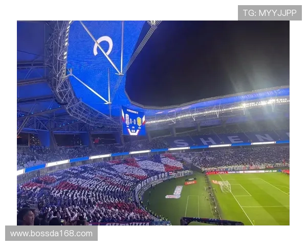 上海足球队的运营模式与市场策略深度解析及其未来发展展望 上海足球队的运营模式与市场策略深度解析及其未来发展展望