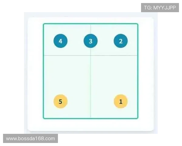 从零基础到排球高手:全面掌握排球技术与战术的实用指南 从零基础到排球高手:全面掌握排球技术与战术的实用指南
