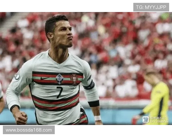 全球足球巨星的精彩人生与辉煌成就全景介绍