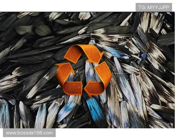 世锦赛特别报道：西安排球队转型之路的挑战与机遇分析